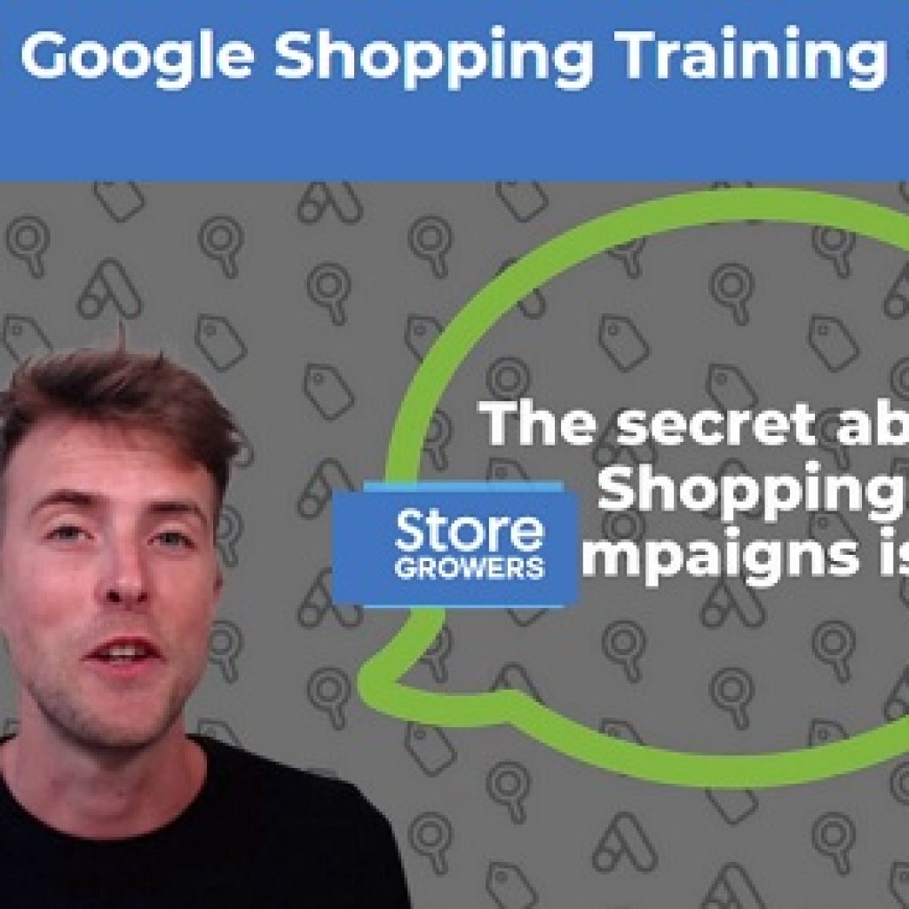 Dennis Moons – Google Shopping Success Course