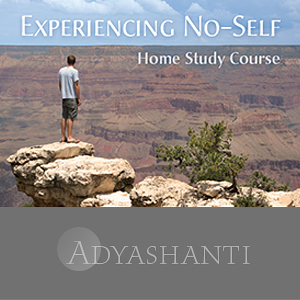 Adyashanti – Experiencing No-Self – Study Course
