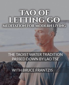 Bruce-Frantzis-The-Tao-of-Letting-Go1