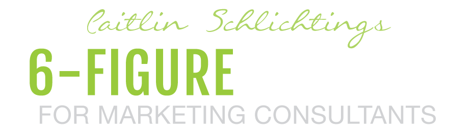 Caitlin Schlichting – 6 Figure Marketing Consultant Download