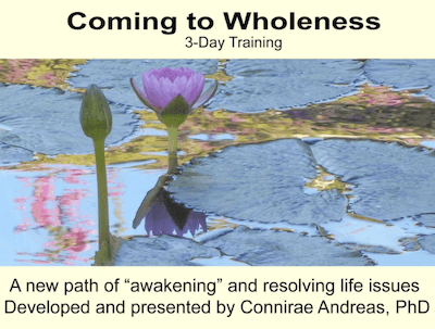 Connirae-Andreas-3-day-Wholeness-Training-1