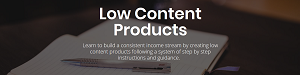 David-Ford-Low-Content-Product-Course-1