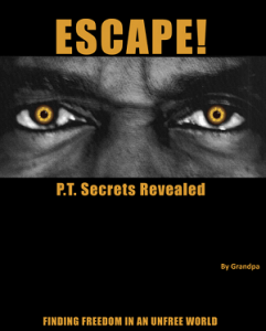 Escape by Grandpa Download