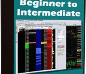 Power Charting – Beginner to Intermediate Intensive Q&A Video