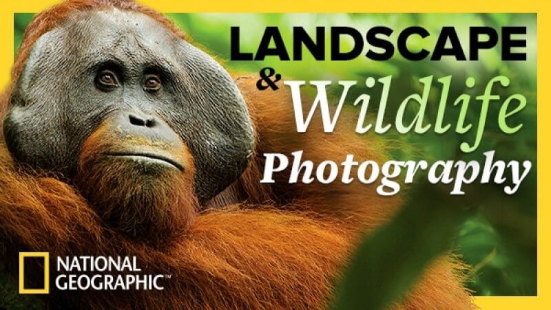 The-National-Geographic-Guide-to-Landscape-and-Wildlife-Photography1