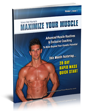 Vince Delmonte – Phase 9, Maximize Your Muscle