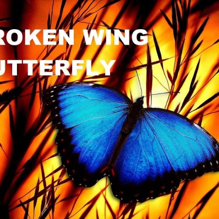 SMB – Broken Wing Butterfly Master Track Series